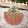 Pink Beaded Seashell Ornament Set Of 2 -Christmas decorations Shop 0796205308 1