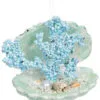 Mark Roberts 4.5" Small Blue Coral Shell Ornament Set Of 4 -Christmas decorations Shop 8003642266