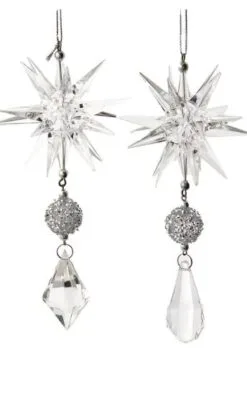6" Clear & Silver Assorted Dangle Ornament Set Of 10