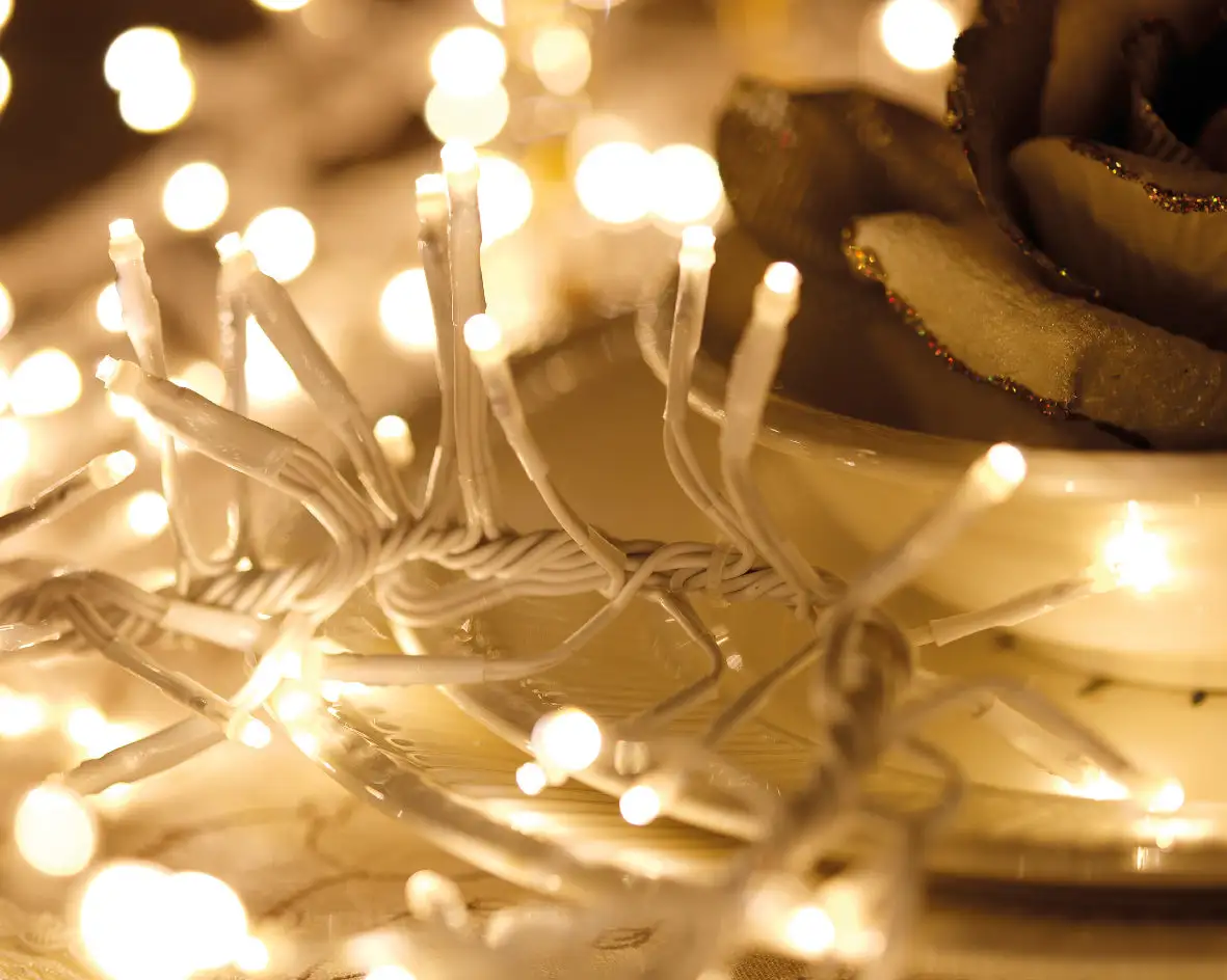 44 FT Cluster Light 1512 LED 8 Function Twinkle 15 44 FT Cluster Light 1512 LED 8 Function Twinkle - Image 13