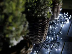 44 FT Cluster 1512 LED Cool White Green Wire 8 Function Twinkle 9 44 FT Cluster 1512 LED Cool White Green Wire 8 Function Twinkle -Christmas decorations Shop 8718533203776WEB4