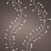 20 FT Compact 480 Micro LED Warm White Silver Wire 8 Function Twinkle -Christmas decorations Shop 8720093266016