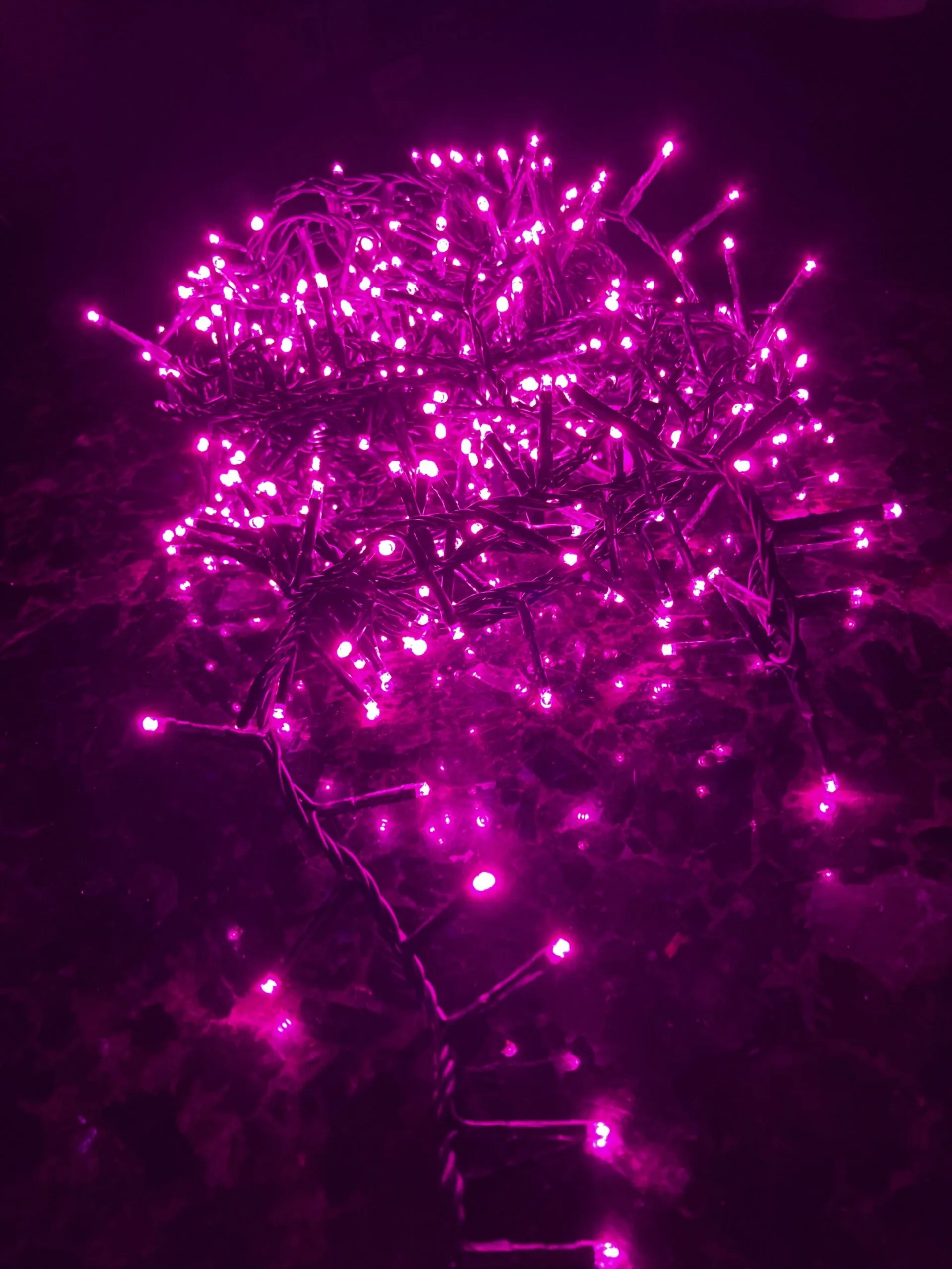 36 FT Compact Extension Set Pink With 1 String Of 500 LED Lights 3 36 FT Compact Extension Set Pink With 1 String Of 500 LED Lights